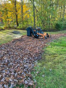 Our Fall and Spring Clean Up service is the perfect way to prepare your yard for the changing seasons. We will clean up leaves, branches, and other debris from your property so you can enjoy a neat and tidy outdoor space. for MAN Enterprises Inc. in Baltimore, MD