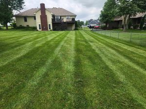 Our Fall Clean Up service ensures your yard stays immaculate, removing leaves, debris, and preparing your landscape for winter. Enjoy a pristine outdoor space effortlessly maintained by our experienced team. for Curb Appeal Lawn Care in Kansas City, Kansas