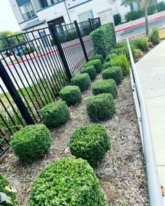 Our Commercial Property Maintenance service ensures your business landscape remains pristine with routine cleaning services, enhancing curb appeal and creating a professional environment for customers and employees. for CS LawnCare  in San Antonio,  TX