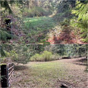 One of our specialty services that we offer is blackberry mulching. We use our special brush cutter equipment and cut down and mulch bramble, brush, and blackberries giving you back your space and property! for Golovin Property Services LLC in Marysville, WA