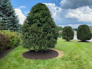 Our Edging service provides a clean, finished look to your lawn by neatly trimming the edge of your grass against any hard surfaces (driveways, sidewalks, etc). for Sosa Landscaping and Gardens, LLC in Clifton Park, New York