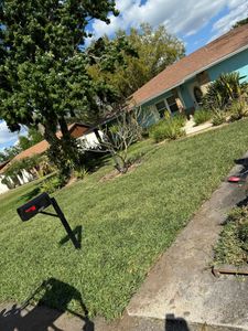 Our professional mowing service ensures a pristine lawn with precise cuts, regular maintenance schedules, and attention to detail, transforming your outdoor space into a beautiful and lush green oasis effortlessly. for Duck's Lawn & Tree Service, LLC. in Lakeland, FL