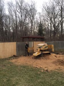 Our Stump Removal service efficiently eliminates tree stumps from your property, enhancing aesthetics and ensuring a safe environment for homeowners. for Pro Tree Trim & Removal, Llc in Dayton, OH
