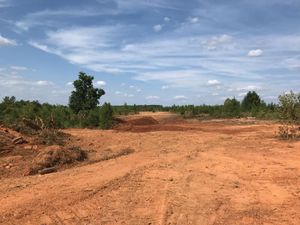 Our site preparation service ensures a seamless construction process by expertly clearing, grading, and leveling your property, laying the perfect foundation for any future building or landscaping project. for CST Dirt Solutions in Rowan, NC