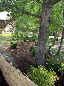 Enhance your garden's appearance and health with our professional mulch installation service, offering protection against weeds, moisture retention, and improved soil quality for thriving plants. Beautify your landscape effortlessly today! for DW’s Tree Service in Winston-Salem, NC