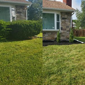 Our shrub trimming service is a great way to keep your bushes looking neat and tidy. We will trim them to the desired shape, making them look their best. for Trippin A-Lawn in Bethlehem, PA