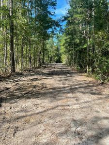 Our Land Clearing service efficiently removes unwanted vegetation and debris from your property, providing a clean and safe environment for landscaping or construction projects. for Cortez Construction SC, LLC in Conway, SC