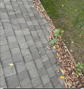 Leaf Clean Up service is a great way to keep your property clean and free of leaves. We will come and clear away all the leaves from your property, so you don't have to worry about it. for American Exterior Solutions LLC in Kokomo, Indiana