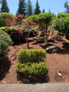 Our Ornamental Pruning service can improve the look and health of your trees and shrubs. We'll carefully trim and shape your plants to enhance their appearance and improve their overall health. for Kenneth Construction LLC in Sequim, WA
