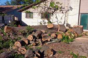 Our Tree Removal service offers professional and efficient removal of unwanted trees from your property, ensuring a safe and aesthetically pleasing environment for your home. for Guzman's Landscaping Services in Austin, TX