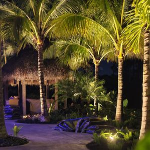 Illuminate your outdoor space with our expert Landscape Lighting service. Enhance the beauty and safety of your surroundings while extending the usability of your landscape long into the night. for Natural View Landscape, Inc.  in Loxahatchee, FL