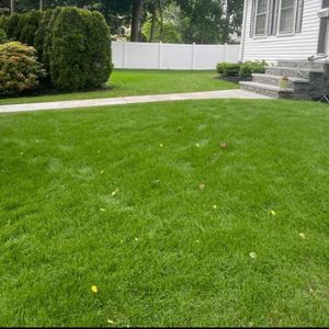 We offer weekly, bi-weekly, and monthly lawn mows and maintenance along with on an as-needed basis. Enhance your home's curb appeal with our reliable and professional lawn care solutions. for Rose Landscape & Design, Inc. in Abington, MA