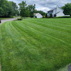 Our 6 Step Fertilizer Program provides comprehensive lawn care services to help keep your lawn looking beautiful and healthy. for DBs Lawn Care in Westampton Township, New Jersey