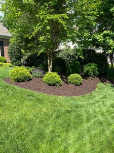 Our Mulch Installation service ensures that your lawn stays healthy and weed-free by providing a layer of protective mulch, enhancing the appearance of your garden. for KP Landscaping in Williamsburg, VA