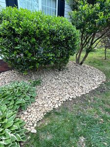 Enhance your home's curb appeal with our professional shrub trimming service, ensuring healthy growth and beautifully shaped plants to create a tidy, attractive landscape tailored to your vision. for JMLP Lawn & Landscaping in Charlotte, NC