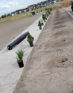 Our Shrub Trimming service expertly shapes and maintains your garden’s greenery, enhancing curb appeal and promoting healthy growth. Our skilled team ensures precision, leaving your landscape looking pristine and well-tended. for Logan River Landscaping in Logan, UT