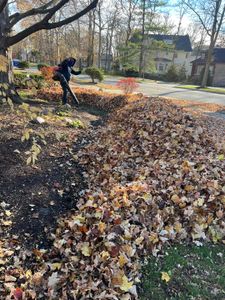 Our Fall and Spring Clean Up service includes raking leaves, removing debris, trimming shrubs, and preparing your yard for the changing seasons to maintain a beautiful and tidy outdoor space. for R&L Deluxe Landscaping in Hanover Park, IL