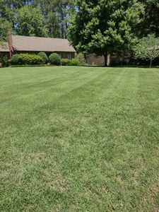 We provide professional mowing services for your lawn, ensuring it looks its best year-round. We guarantee satisfaction with our experienced team and quality equipment. for Freedom Works Lawnscaping in Dyer County, Tennessee