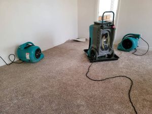Our Water Removal & Dehumidification service effectively eliminates excess moisture from your home, preventing further damage and preserving a healthy living environment for you and your family. for New England Water and Mold in Southbury, CT