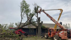 Our Tree Service provides professional and reliable assistance to homeowners in need of tree removal, trimming, pruning, and emergency services for their residential properties. for Winding Creek Construction & Landscaping in Mcloud, OK