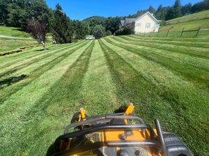 Our mowing services ensure a lush, neatly trimmed lawn that enhances your home's curb appeal. Trust our experts for precise cuts and reliable scheduling to maintain the perfect outdoor oasis. for SkyLimit LawnCare in Asheville, NC
