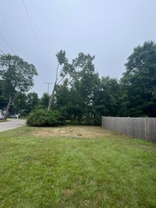 We offer professional stump removal services to fully eliminate unsightly tree stumps from your property, ensuring a clean and clear landscape that is safe and aesthetically pleasing. for Native Roots Tree Service in Falmouth, MA