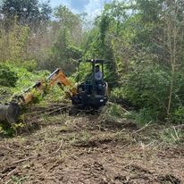 Our Tree Trimming & Removal service aims to help homeowners clear their land by safely cutting and removing unwanted trees, enhancing the overall appearance and safety of their property. for Metal Star Resources  in New Braunfels, TX