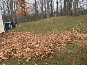 Our Fall Clean Up service ensures your property stays pristine by removing leaves, branches, and debris, preparing your landscape for winter while enhancing curb appeal and promoting healthy growth for spring. for Walsh Lawn And Landscape in Olney, MD