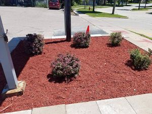 Enhance your garden's beauty and health with our professional mulch installation service, offering coverage that retains moisture, deters weeds, and enriches soil for a vibrant and thriving landscape. for Malagon & Company LLC in Milwaukee, WI