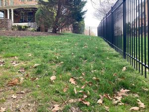 Our Fall Clean Up service ensures your yard is pristine and ready for winter, with leaf removal, debris clearance, and plant care to maintain a healthy landscape throughout the colder months. for Green Horizon Lawncare in North Chesterfield, VA