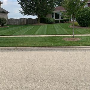 Our Fall and Spring Clean-Up service is designed to help homeowners clean up their yards after the winter or summer season. We will remove all of the debris from your yard and make it look neat and tidy again. for From the Ground Up Landscaping & Lawncare in New Lenox, IL