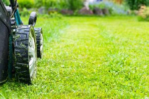Our Other Lawn Services service provides a range of additional services, hedge and shrub maintenance for homeowners looking to maintain a healthy and vibrant lawn. for Top Cut Lawn Service in Center Point, IA