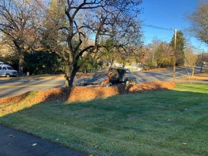 Our Fall Clean Up service ensures your yard is pristine by removing leaves, debris, and preparing your lawn for winter. Enjoy a clean landscape and healthy grass come springtime! for Adams Landscaping in Springfield, MA