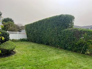 Enhance your home's curb appeal with our expert Shrub Trimming service, ensuring beautifully manicured bushes that promote healthy growth and create a polished look for your outdoor spaces. for Jose & Sons Landscaping in New Bedford, MA