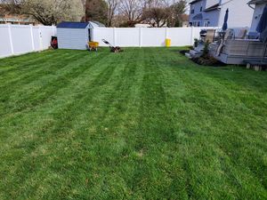We offer full service seeding to help you lawn look it's best. Overseeding is one of the most beneficial things you can do for a healthy and lush lawn.  for DBs Lawn Care in Westampton Township, New Jersey