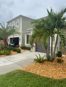 Our Tree Trimming And Removal service ensures the maintenance and removal of trees on your property, enhancing the overall aesthetics and safety of your landscape. for Team Tolson Landscape in Tampa Bay, FL