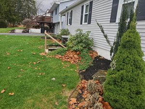 Our Fall and Spring Clean-Up service is a great way to get your yard cleaned up before the winter or summer. We will remove all of the leaves, branches, and other debris from your yard so you can enjoy it during the season. for Trippin A-Lawn in Bethlehem, PA