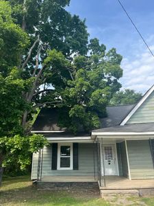 Our professional Tree Trimming service ensures your trees stay healthy and aesthetically appealing by removing dead branches, enhancing their structural integrity, and promoting new growth. for Preserve A Tree LLC in  Mount Pleasant, North Carolina