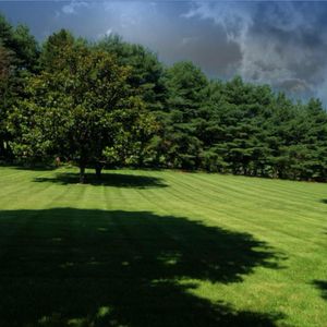 Our mowing service includes the trimming of grass around obstacles and along property lines, as well as the disposal of all clippings. for MAN Enterprises Inc. in Baltimore, MD