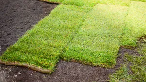 Transform your yard with our professional Sod Installation service, replacing unsightly debris and enhancing your property's curb appeal for a vibrant and lush lawn. for Duluth Pro Junk Hauling Removal Service in Duluth, MN