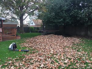 We offer Fall and Spring Clean Up services to help your landscaping look its best. We can remove leaves, branches, and other debris from your property. for Gillette Property Maintenance in Hatfield, MA
