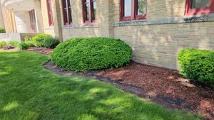 Enhance your home's curb appeal with our expert shrub trimming service. We meticulously shape and maintain your shrubs, ensuring a polished look while promoting healthy growth for vibrant landscapes year-round. for Malagon & Company LLC in Milwaukee, WI