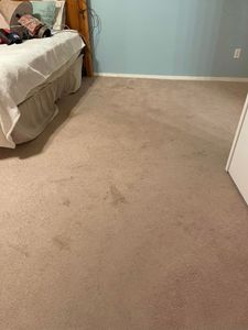 Our Carpet Cleaning service is a great way to get your carpets looking and smelling fresh again. We use powerful equipment and eco-friendly solutions to clean every nook and cranny of your carpets, so they look like new again. for Superstition Carpet and Tile Care LLC in Apache Junction, AZ