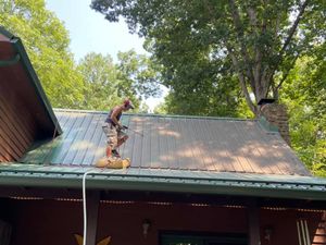 We offer professional roof and gutter cleaning services to keep your home safe from water damage and debris buildup. Our experienced team will clean your gutters quickly, effectively, and safely. for Prime Time Power Wash in Indianapolis, Indiana