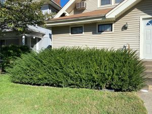 Our Lawn Repairs service offers professional assistance to homeowners, addressing any damages or issues with their lawn, including top soil, grass seeding, and fertilizer.  for Robbie's Lawn Care, LLC in Middletown, OH
