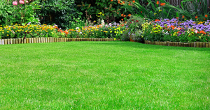 Our Lawn Care service offers professional and efficient solutions for homeowners, ensuring well-maintained lawns with expert care, including mowing, trimming, fertilizing and more. for Duluth Pro Junk Hauling Removal Service in Duluth, MN