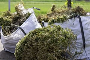 Our Yard Clean Up service provides homeowners with a thorough and efficient solution for all their landscaping needs, including leaf removal, debris cleaning, garden bed cleanup and more. for P & M LANDSCAPING LLC in Trumbull County, Ohio