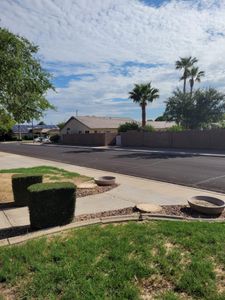 Enhance your landscape with our professional Shrub Trimming service. We precisely shape and maintain your shrubs, promoting healthy growth while improving the overall aesthetic of your property for an inviting outdoor space. for Loya's Tree Trimming and Removal in Glendale, AZ