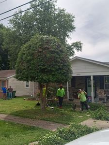 Our professional tree trimming service ensures your trees are well-maintained, enhancing their health and aesthetics while ensuring the safety of your home and surroundings. for Elliott's Tree Service in Pekin, IN