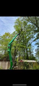 Our Tree Removal service offers professional and efficient solutions for homeowners who require the safe and timely removal of trees, enhancing the overall landscape appearance. for E&T Outdoor Pros in LaGrange, GA